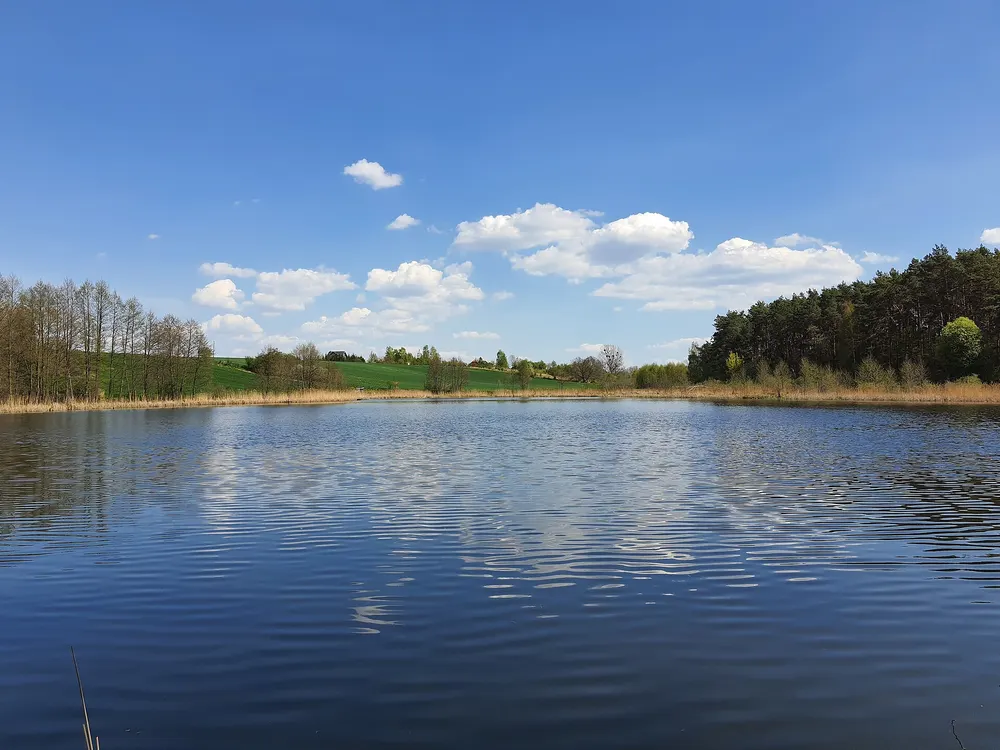 Jezioro przy trasie — Biskupice Wielkopolskie. Woda, którą mijacie po drodze.