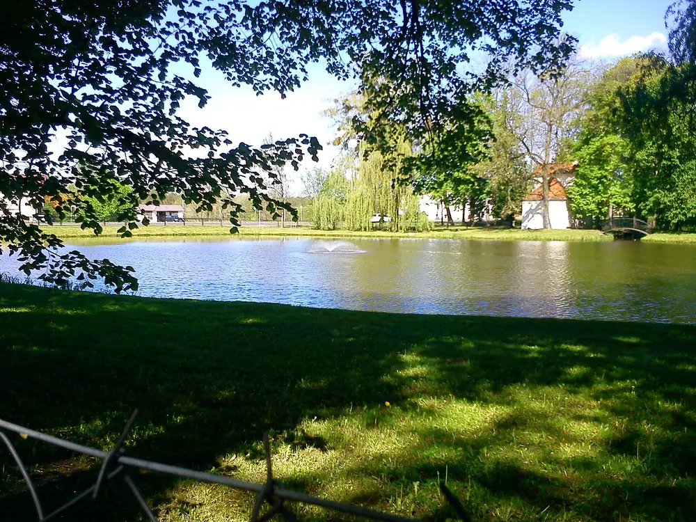 Park pałacowy, druga strona stawu — Owińska. Ten sam staw z innego brzegu.