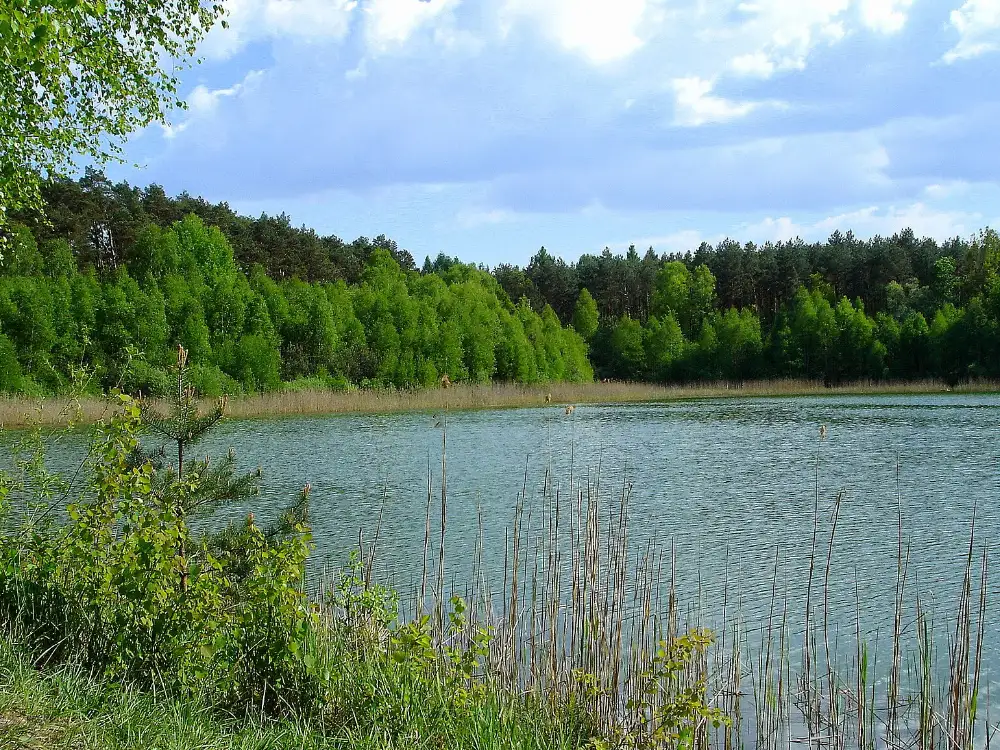 Plaża nad Jeziorem Kamińsko — Jezioro Kamińsko w sierpniu — najdalszy punkt pętli i naturalne miejsce na dłuższy postój.