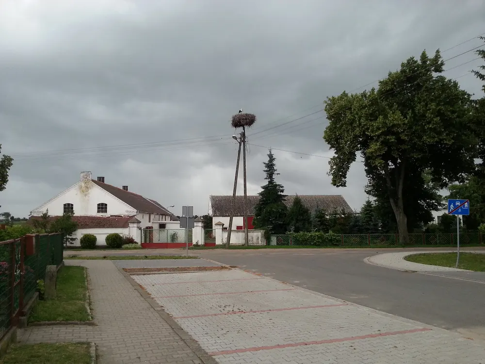 Bocianie gniazdo w Kromolicach — Kromolice, przy trasie. Bociany gniazdują tu co roku.