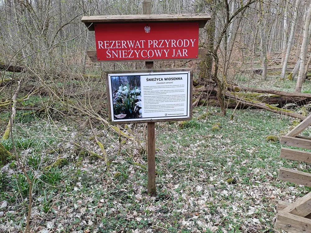 Tablica rezerwatu przyrody — Wargowo. Wejście do rezerwatu Śnieżycowy Jar koło Biedruska.