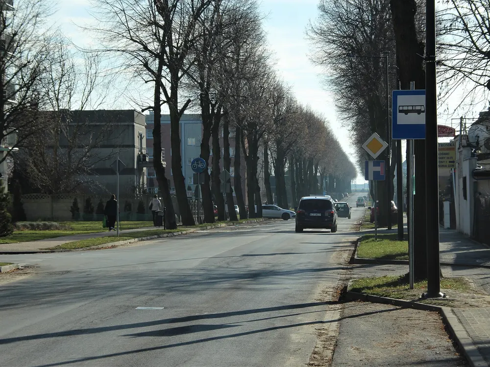 Aleja przy wjeździe do Buku — Buk. Droga z przystankiem autobusowym, tuż przy trasie.
