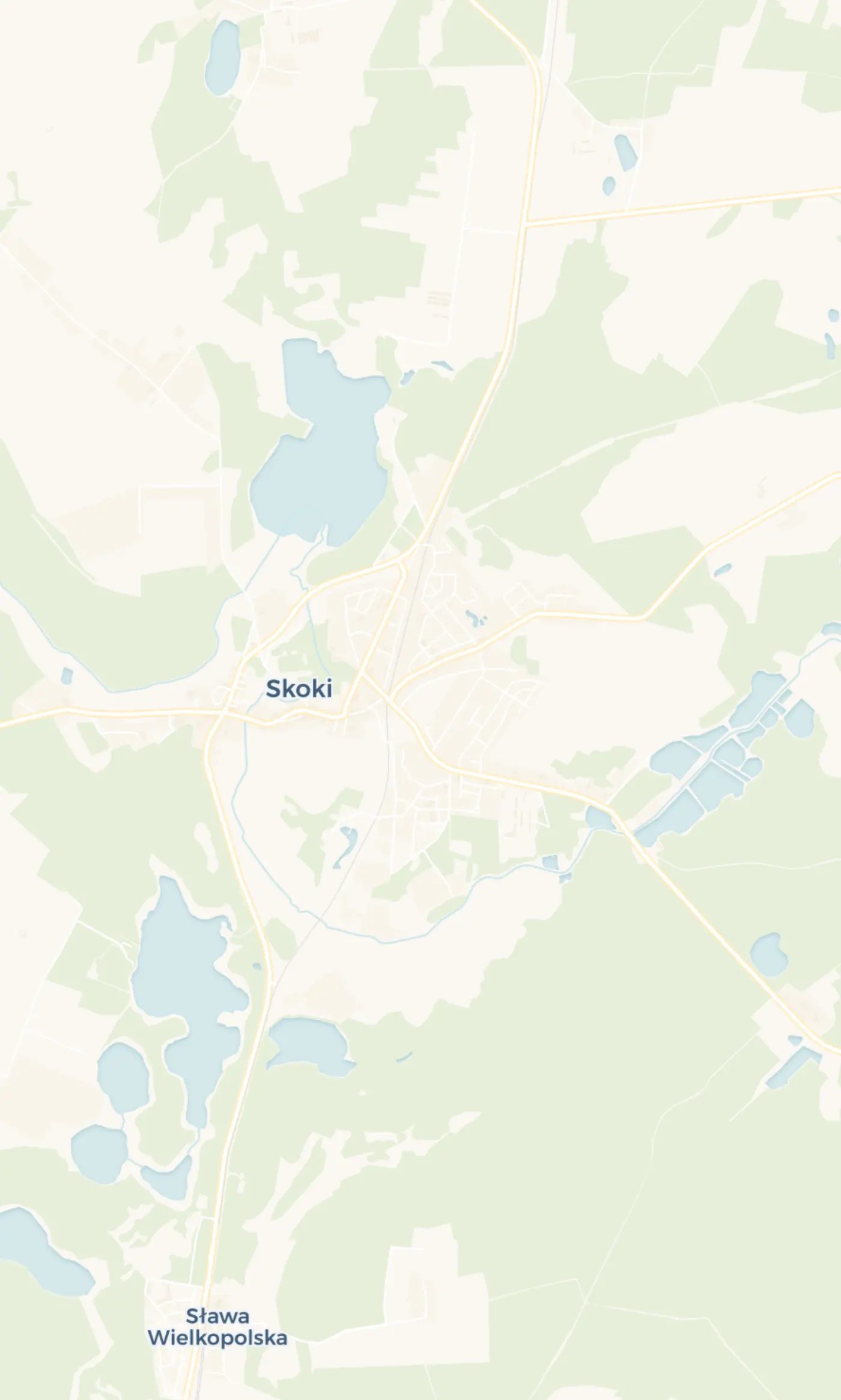 Skoki, 24,1 km